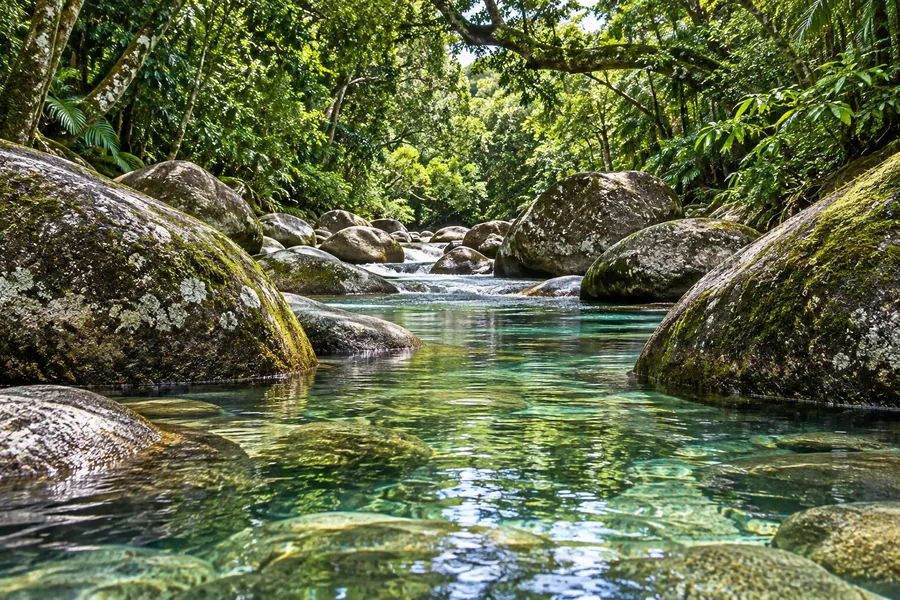 Ruscelli cristallini e massi nella foresta di Mossman Gorge