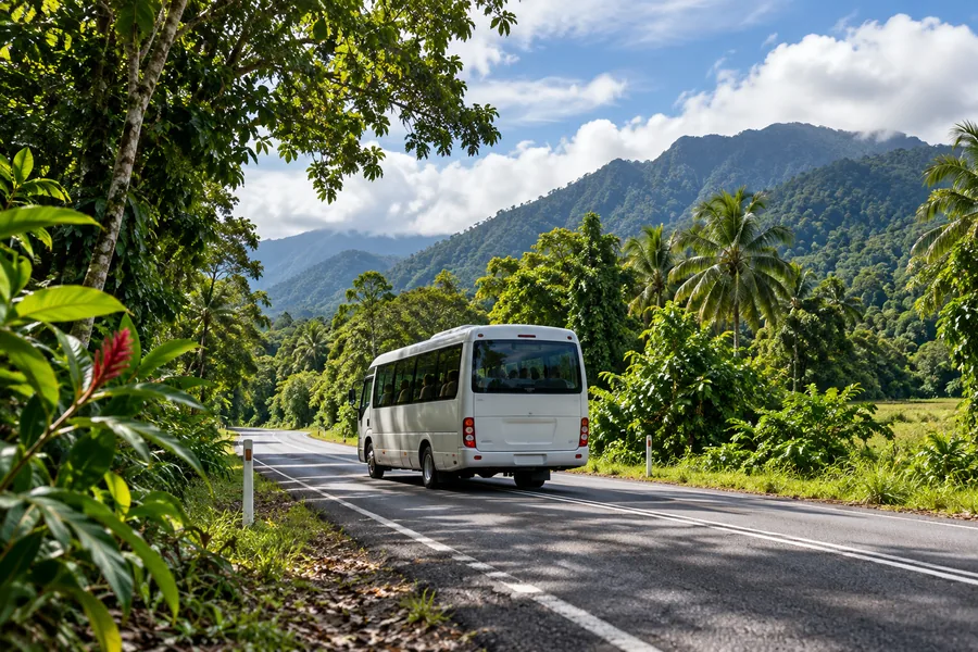 Viaggio su strada da Port Douglas verso Daintree
