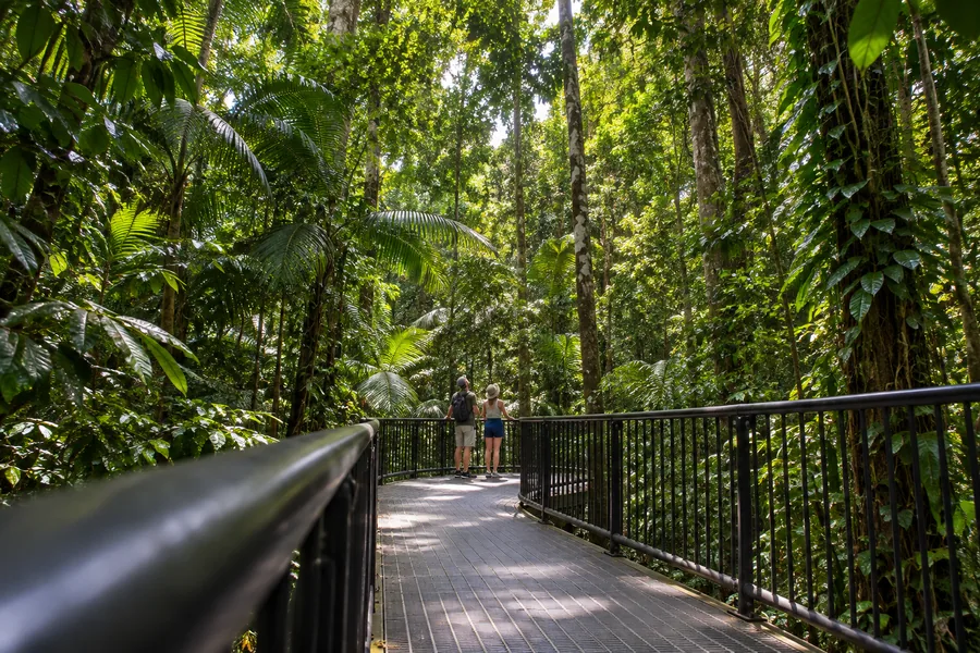 Passerella sopraelevata al Daintree Discovery Centre